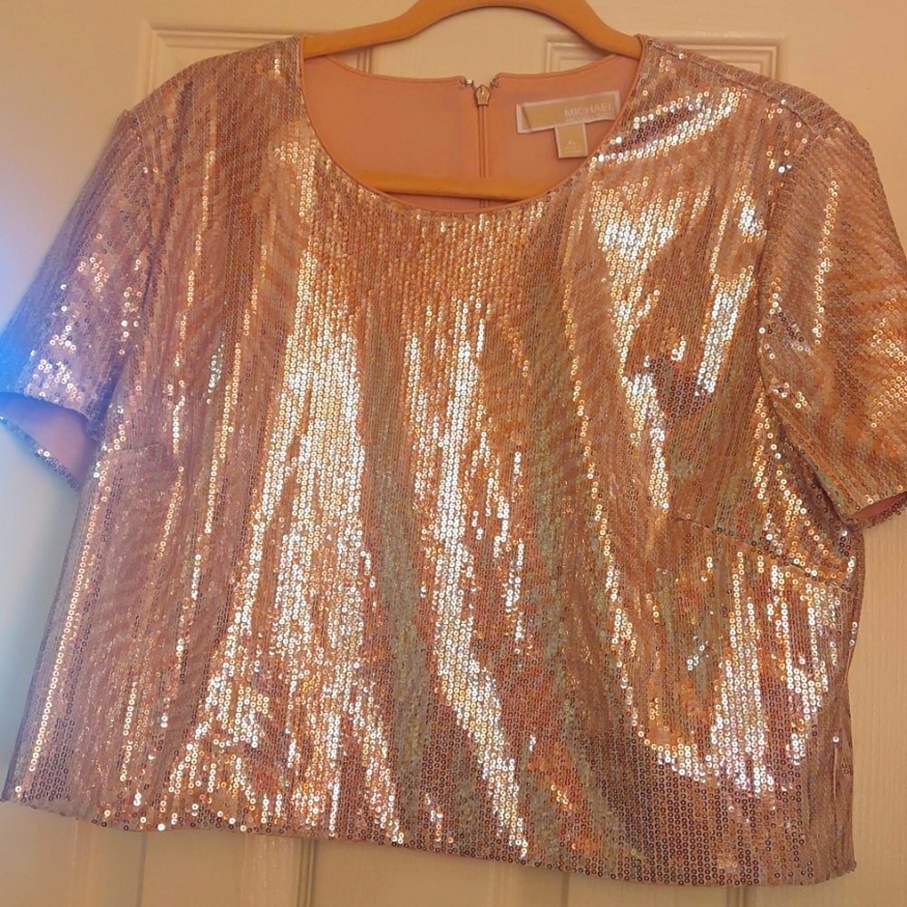 Sequins Crop Top - image 1